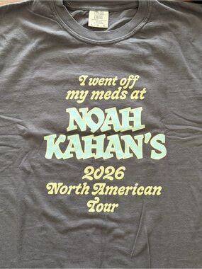 AUTHENTIC - L - Noah Kahan “I went off my meds” Comfort Colors tshirt